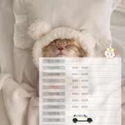 ヒメ日記 2025/09/27 00:31 投稿 アンリ ラブコレクション