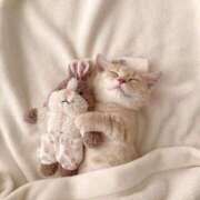 ヒメ日記 2025/10/05 22:16 投稿 アンリ ラブコレクション