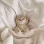 ヒメ日記 2025/11/14 07:46 投稿 アンリ ラブコレクション