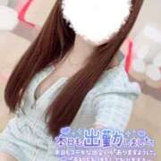 ヒメ日記 2025/11/15 06:31 投稿 アンリ ラブコレクション