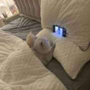 ヒメ日記 2025/11/17 14:01 投稿 アンリ ラブコレクション