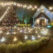 ヒメ日記 2025/11/24 17:46 投稿 アンリ ラブコレクション