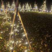 ヒメ日記 2025/12/07 17:31 投稿 アンリ ラブコレクション