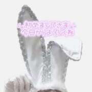 ヒメ日記 2025/12/15 15:31 投稿 アンリ ラブコレクション