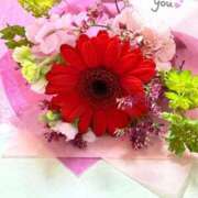 ヒメ日記 2026/01/20 17:16 投稿 アンリ ラブコレクション