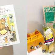 ヒメ日記 2026/01/26 22:31 投稿 アンリ ラブコレクション