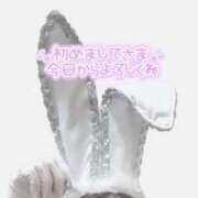 ヒメ日記 2026/02/04 21:01 投稿 アンリ ラブコレクション