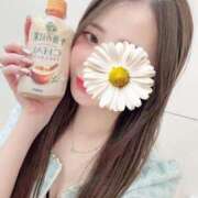 ヒメ日記 2026/02/19 09:16 投稿 アンリ ラブコレクション