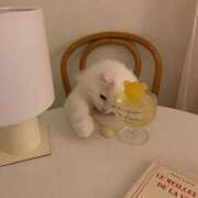 ヒメ日記 2026/02/22 16:01 投稿 アンリ ラブコレクション