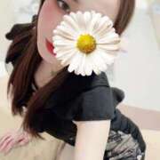 ヒメ日記 2026/02/28 07:16 投稿 アンリ ラブコレクション