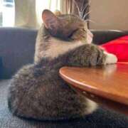 ヒメ日記 2024/12/10 09:23 投稿 岩崎 熟女デリヘル倶楽部