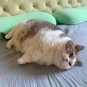 ヒメ日記 2024/12/17 07:25 投稿 岩崎 熟女デリヘル倶楽部