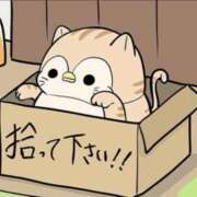 ヒメ日記 2024/12/21 16:04 投稿 岩崎 熟女デリヘル倶楽部