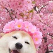 ヒメ日記 2025/03/28 08:36 投稿 岩崎 熟女デリヘル倶楽部