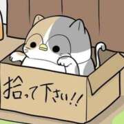 ヒメ日記 2025/04/09 15:33 投稿 岩崎 熟女デリヘル倶楽部