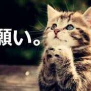 ヒメ日記 2025/04/30 08:46 投稿 岩崎 熟女デリヘル倶楽部