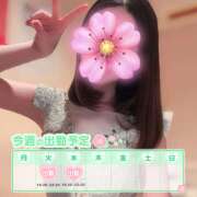 ヒメ日記 2025/03/09 21:45 投稿 めい 横浜デビュー