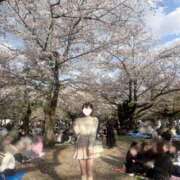 ヒメ日記 2025/04/23 15:39 投稿 星野ゆか JKリフレ東京 秋葉原本店