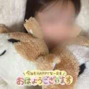 ヒメ日記 2025/02/14 08:16 投稿 もえ ラズベリードール