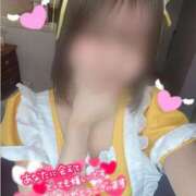 ヒメ日記 2025/03/04 16:28 投稿 もえ ラズベリードール