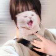 ヒメ日記 2026/02/12 17:16 投稿 つきな ダイスキ