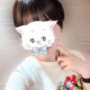 ヒメ日記 2026/03/12 11:35 投稿 つきな ダイスキ