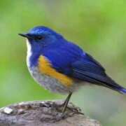 ヒメ日記 2025/10/09 12:01 投稿 いまり 奥様特急新潟店