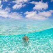 ヒメ日記 2025/07/21 23:22 投稿 くらら 出会い系人妻ネットワーク さいたま～大宮編