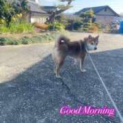 ヒメ日記 2025/01/07 11:01 投稿 ゆず 三重四日市ちゃんこ