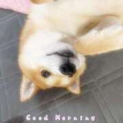 ヒメ日記 2025/01/09 10:21 投稿 ゆず 三重四日市ちゃんこ