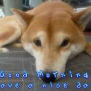 ヒメ日記 2025/03/03 10:51 投稿 ゆず 三重四日市ちゃんこ