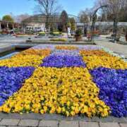 ヒメ日記 2025/03/23 18:41 投稿 ゆず 三重四日市ちゃんこ