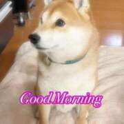 ヒメ日記 2025/03/31 10:11 投稿 ゆず 三重四日市ちゃんこ