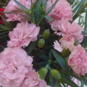 ヒメ日記 2025/05/01 10:51 投稿 ゆず 三重四日市ちゃんこ