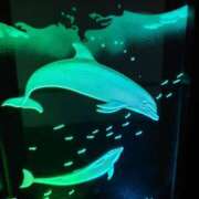 ヒメ日記 2025/08/09 14:41 投稿 ゆず 三重四日市ちゃんこ