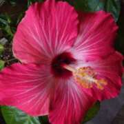 ヒメ日記 2025/08/24 21:41 投稿 ゆず 三重四日市ちゃんこ