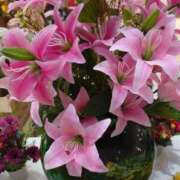 ヒメ日記 2025/08/27 19:01 投稿 ゆず 三重四日市ちゃんこ