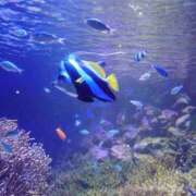 ヒメ日記 2025/08/30 16:01 投稿 ゆず 三重四日市ちゃんこ