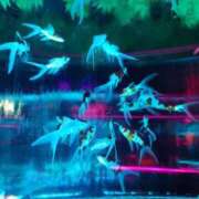 ヒメ日記 2025/09/05 17:21 投稿 ゆず 三重四日市ちゃんこ