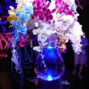 ヒメ日記 2025/09/07 17:51 投稿 ゆず 三重四日市ちゃんこ