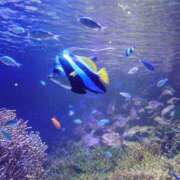 ヒメ日記 2025/10/10 13:01 投稿 ゆず 三重四日市ちゃんこ