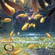 ヒメ日記 2025/10/10 17:41 投稿 ゆず 三重四日市ちゃんこ