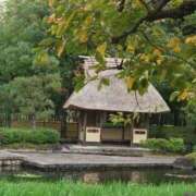 ヒメ日記 2025/10/17 19:01 投稿 ゆず 三重四日市ちゃんこ