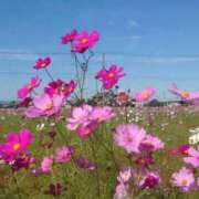 ヒメ日記 2025/11/03 17:21 投稿 ゆず 三重四日市ちゃんこ