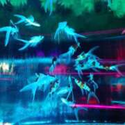 ヒメ日記 2025/12/30 17:51 投稿 ゆず 三重四日市ちゃんこ