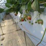 ヒメ日記 2026/01/06 09:01 投稿 ゆず 三重四日市ちゃんこ