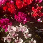 ヒメ日記 2026/01/08 22:41 投稿 ゆず 三重四日市ちゃんこ