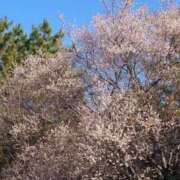 ヒメ日記 2026/01/10 16:21 投稿 ゆず 三重四日市ちゃんこ