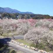 ヒメ日記 2026/03/12 09:21 投稿 ゆず 三重四日市ちゃんこ