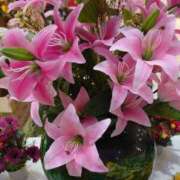 ヒメ日記 2026/03/23 12:01 投稿 ゆず 三重四日市ちゃんこ